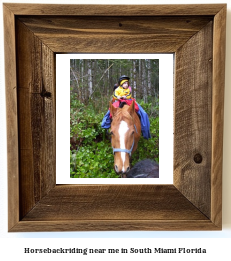 horseback riding near me in South Miami, Florida